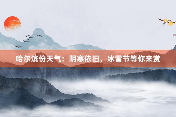 哈尔滨份天气：阴寒依旧，冰雪节等你来赏